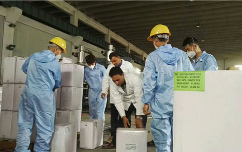 廣東客戶的高.端邦定機(jī)出廠測(cè)試